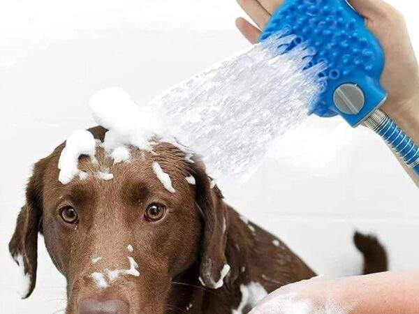 GUANTES DE BAÑO MASCOTAS MULTIFUNCION 🤩 ✨