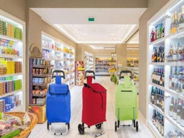 COCHE DE COMPRAS 🛍️🚨