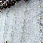 LUCES CORTINA ÁRBOL 3X2 AMBAR - Imagen 3