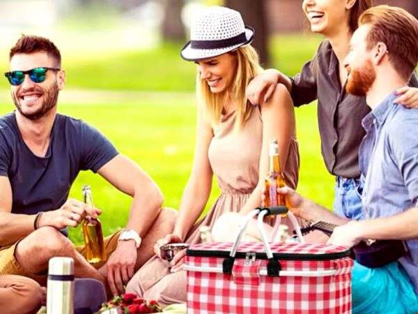 CANASTILLA PARA PICNI