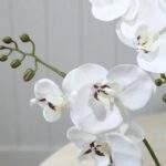 MACETAS CON FLORES ORQUIDIAS DE 40 X 9 CM - Imagen 2