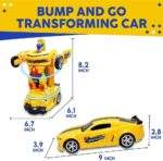 CARRO TRANSFORME 2 EN 1 - Imagen 5