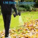 SOPLADOR TURBO INALÁMBRICO 24V - Imagen 2