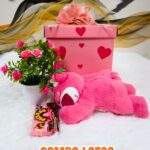COMBO LOTSO DORMILON
