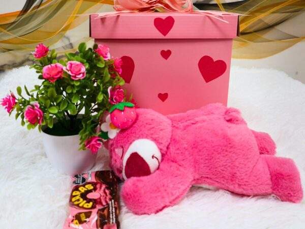 COMBO LOTSO DORMILON