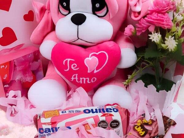 BOX CAJA SORPRESA CON PELUCHE JORDANO GRANDE