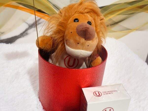 COMBO LEON MAS COLONIA UNIVERSITARIO