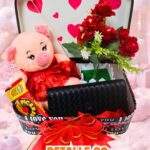 COMBO PELUCHE CHANCHITO CON BILLETERA