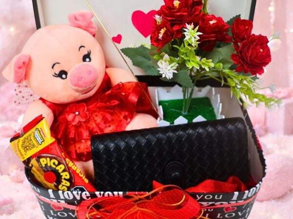 COMBO PELUCHE CHANCHITO CON BILLETERA