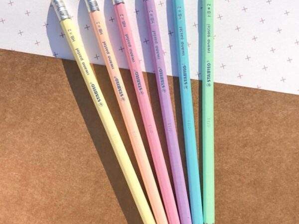 LAPICES COLOR PESTEL X12