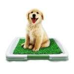 BAÑO PORTATIL MASCOTA - Imagen 2