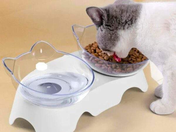 PLATO DE MASCOTA MOD GATO 