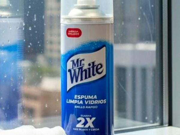ESPUMA LIMPIADOR DE VENTANA