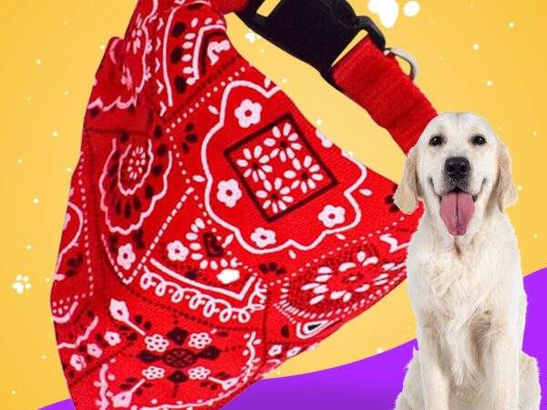 BANDANA PARA MASCOTA