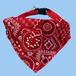BANDANA PARA MASCOTA - Imagen 3