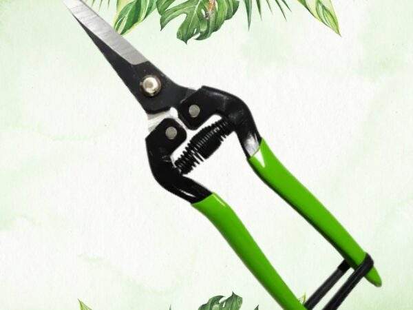 TIJERA DE PODAR