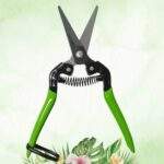 TIJERA DE PODAR - Imagen 2