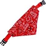 BANDANA PARA MASCOTA - Imagen 2