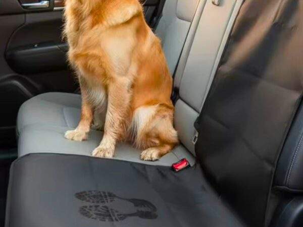 CUBIERTA DE ASIENTO PARA AUTO