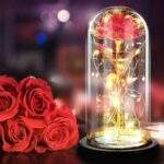 CUPULA MUSICA PARA EL DÍA DE LA MADRE