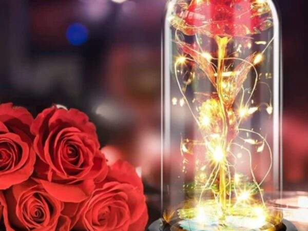 CUPULA MUSICA PARA EL DÍA DE LA MADRE