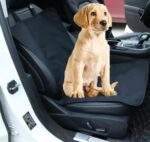 CUBIERTA DE ASIENTO PARA AUTO - Imagen 2