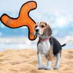  JUGUETE MASCOTA BUMERA 