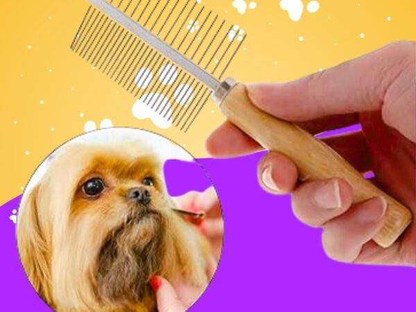 PEINE MASCOTA