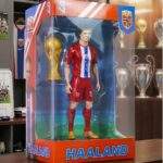 COLECCION DE JUGADORES - Imagen 3