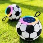 PARLANTE PELOTA