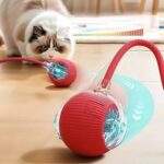 PELOTA INTERACTIVA DE MASCOTA