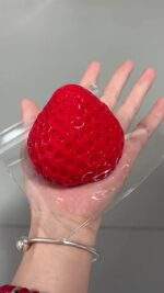 SQUISHY DE FRESA - Imagen 3